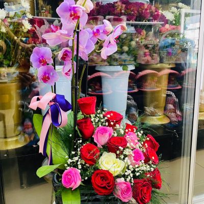 1ef86a1a-89eb-4477-941a-904fb6c465a3