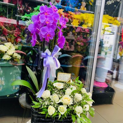 228ddc0a-e0eb-4652-b150-375119894858