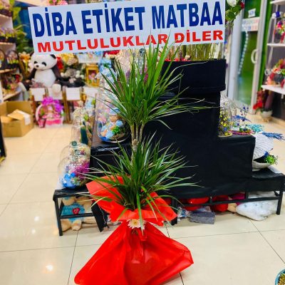 4e61e131-3a7f-4180-84e3-6a4a2cf5b492