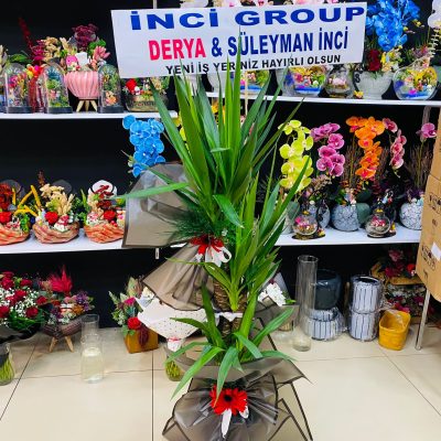 8ad1ac10-16fb-4723-8908-af8ecd5f92fd