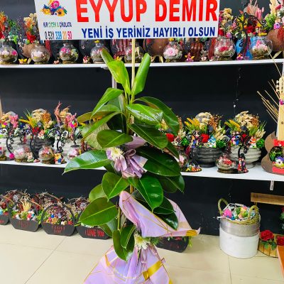 8cab779a-2699-4577-b5f5-1a0cbda74cc6