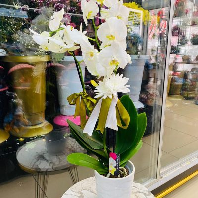 9186a013-9c21-4a1f-9473-b3c080323b9f