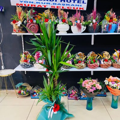 93bc3c06-d1de-4c08-82cb-bcf485c78d00