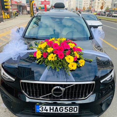 a4d76cc0-2060-4012-8d5d-f6937656c014