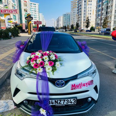 ac3ce092-f05b-4d20-b33f-c095ffe13700